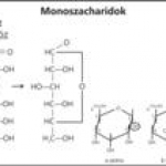 Monoszaharidok - hexóz