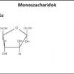 Monoszaharidok - fruktóz